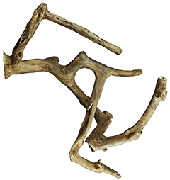 Bird Perches Collection